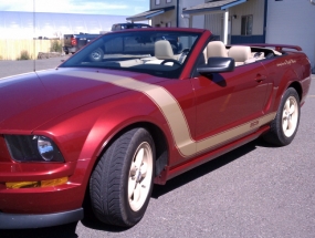 mustang-3