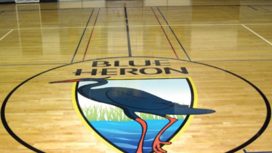 BLUE-HERON-SCHOOL_GYM-FLOOR-DECAL