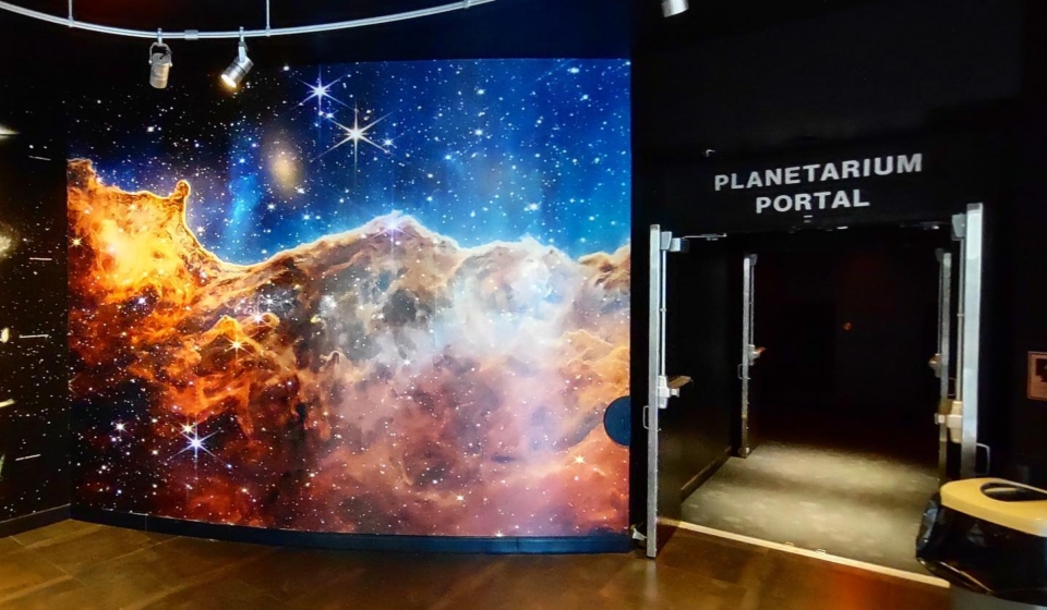 Platinum Display Wrap