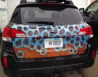 PageLines-deyoung-subaru-rear-hatchback-wrap.JPG